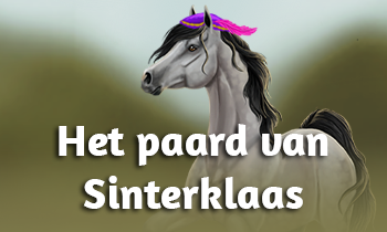 Het paard van Sinterklaas