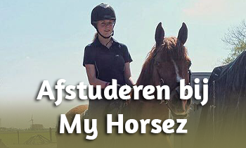 Afstuderen bij My Horsez