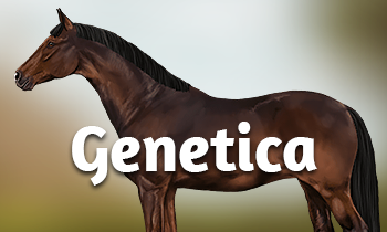 Genetica bij paarden #2: Back to the Basics 2.0