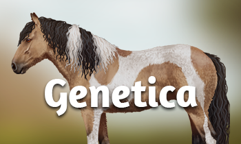  Genetica bij paarden #3: Back to the Basics 3.0