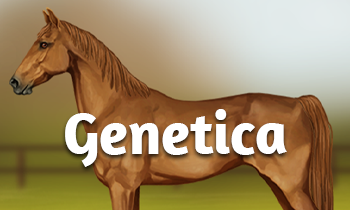 Genetica bij paarden #4: Back to the Basics 4.0