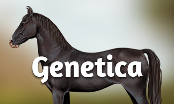 Genetica bij paarden #6: Moleculaire genetica 2.0