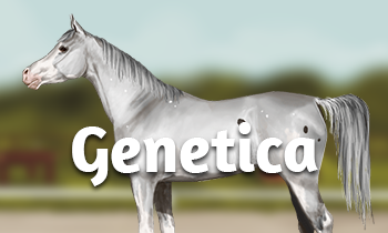 Genetica bij paarden #7: Moleculaire genetica 3.0