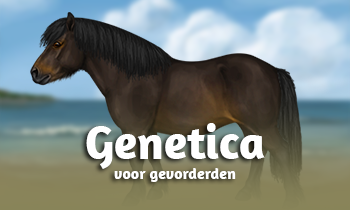 Genetica bij paarden #9B: Let's get ready to rumble: ɑ-MSH vs ASIP