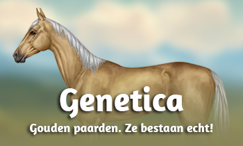 Genetica bij paarden #11A: Gouden paarden. Ze bestaan echt!