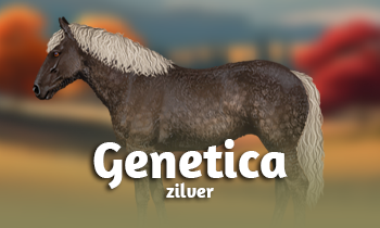 Genetica bij paarden #12A: Zilver