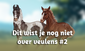 Dit wist je nog niet over veulens #2