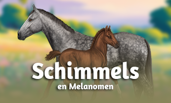 Genetica bij paarden #15B: Schimmels en Melanomen