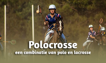 Discipline in de spotlight: Polocrosse