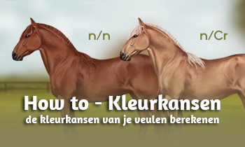 How to - De kleurkansen van je veulen berekenen