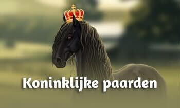 Bekende Koninklijke paarden