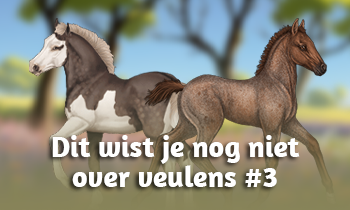 Dit wist je nog niet over veulens #3