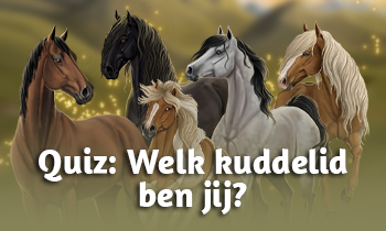 Quiz: Welk kuddelid ben jij?