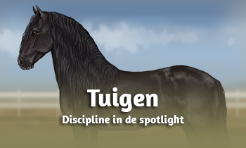 Discipline in de spotlight: Tuigen 
