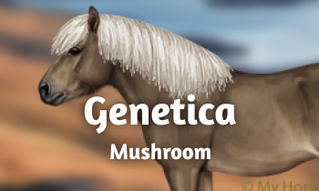 Genetica bij paarden #16A: het Mushroom gen