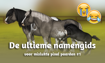 De ultieme namengids voor mislukte pixel paarden #1
