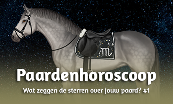 Paardenhoroscoop: Wat zeggen de sterren over jouw paard? #1
