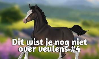 Dit wist je nog niet over veulens #4