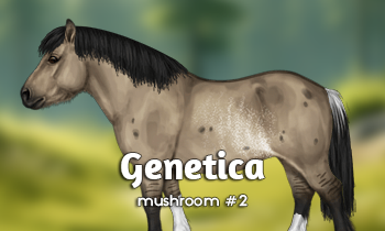 Genetica bij paarden: Mushroom #2