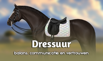Discipline in de spotlight: Dressuur