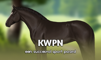 Ras in de spotlights: KWPN