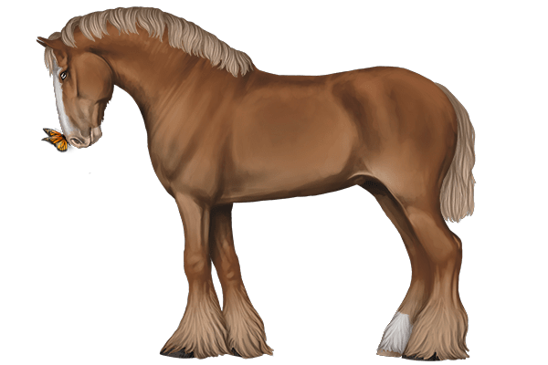Clydesdale op online paardenspel My Horsez met een vlinder op zijn neus