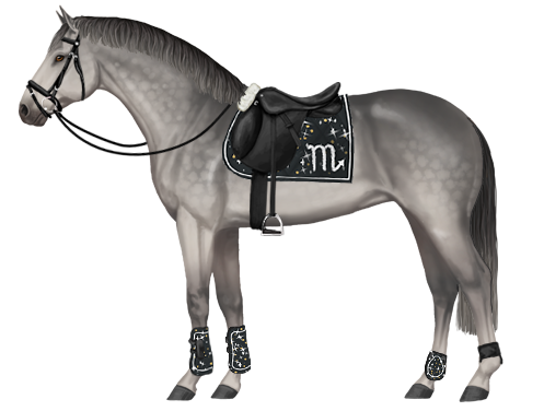 Een KWPN'er met een schorpioen sterrenbeeld dekje en peesbeschermers op online browsergame MyHorsez