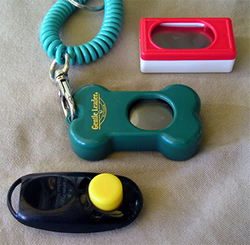 Een zogenaamde clicker die voor clickertraining wordt gebruikt