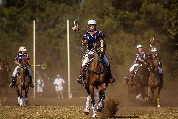 Vrouwen met hun paarden die Polocrosse spelen
