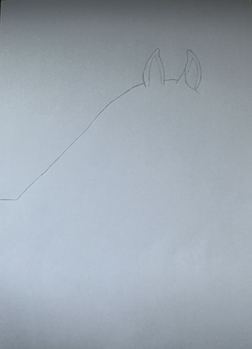 Het begin van een tekening van een paard