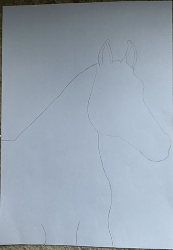 Het begin van een tekening van een paard