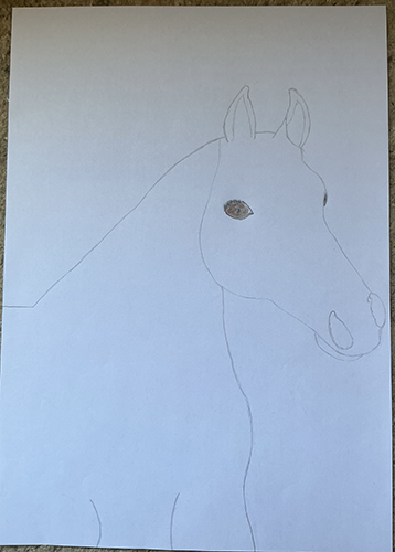 Het begin van een tekening van een paard