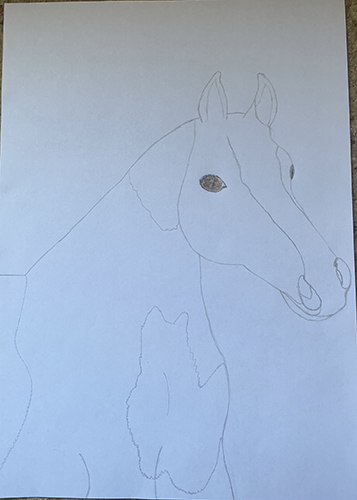Het begin van een tekening van een paard