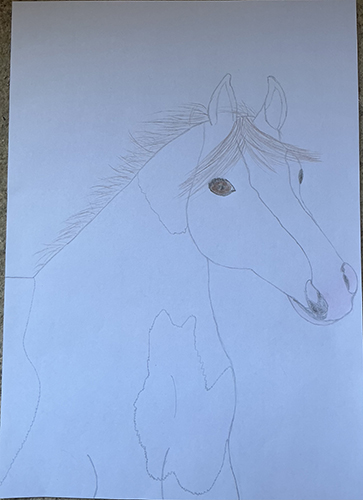 Het begin van een tekening van een paard