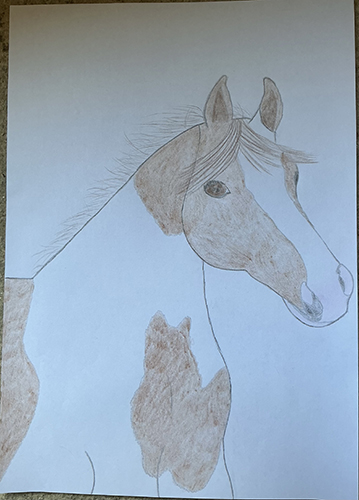 Een potlood tekening van een bont paard