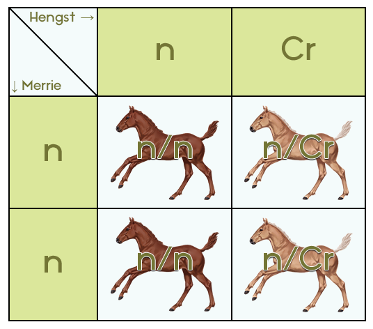 Een visueel kruisingsschema op online paardenspel My Horsez