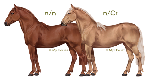 Een vos criollo en een palomino criollo op paardenspel My Horsez