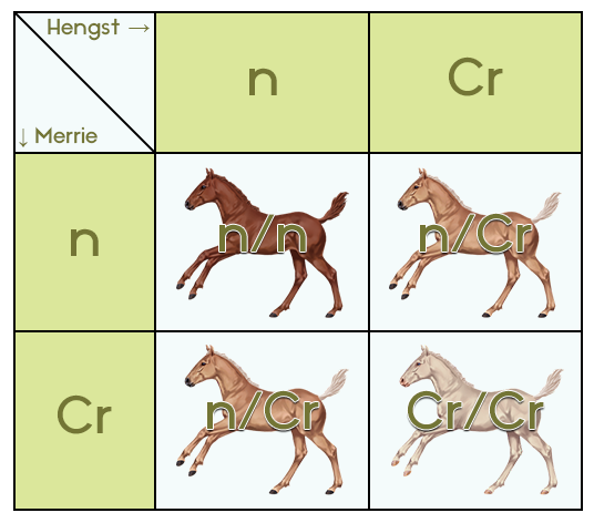 Een visueel kruisingsschema op online paardenspel My Horsez