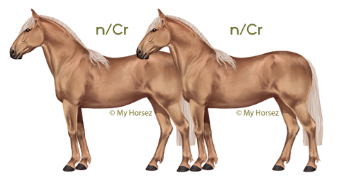 Een palomino criollo en een palomino criollo op paardenspel My Horsez
