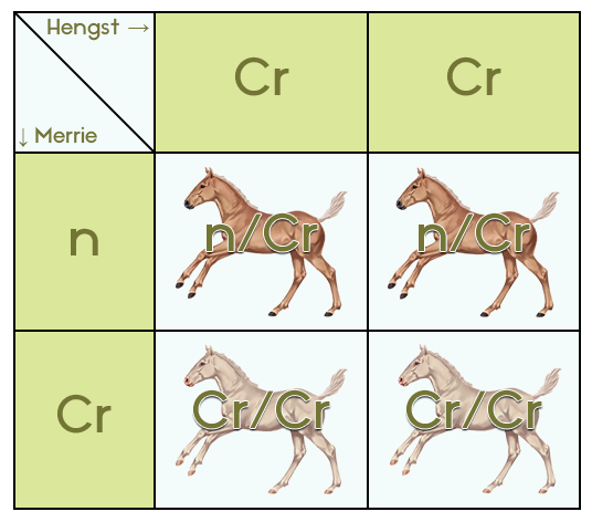 Een visueel kruisingsschema op online paardenspel My Horsez