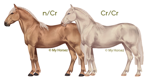 Een palomino criollo en een cremello criollo op paardenspel My Horsez