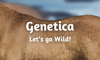 Genetica bij paarden #10B: Let's go Wild!
