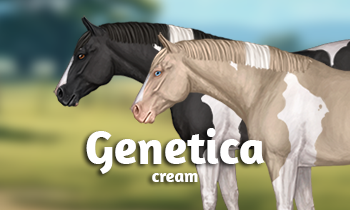 Genetica bij paarden #11B: Cream