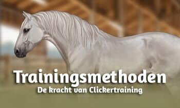 De kracht van Clickertraining
