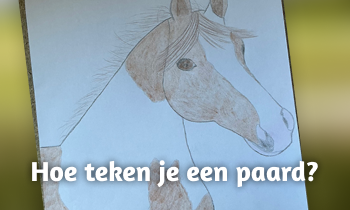 Paarden tekenen voor beginners