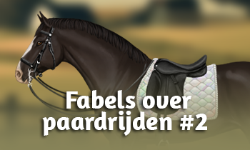 Fabels over paardrijden #2
