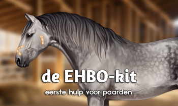 Eerste hulp voor paarden: de EHBO-Kit