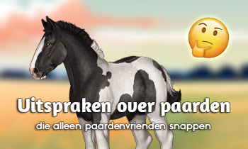 Uitspraken die alleen paardenvrienden snappen