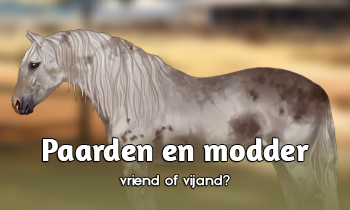 Paarden en modder: vriend of vijand?