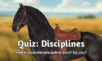 Quiz: Welke paardendiscipline past het best bij jou? 